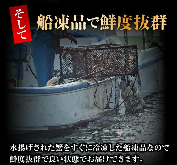 4L極上ボイル ズワイガニ足2キロ(5-7肩）