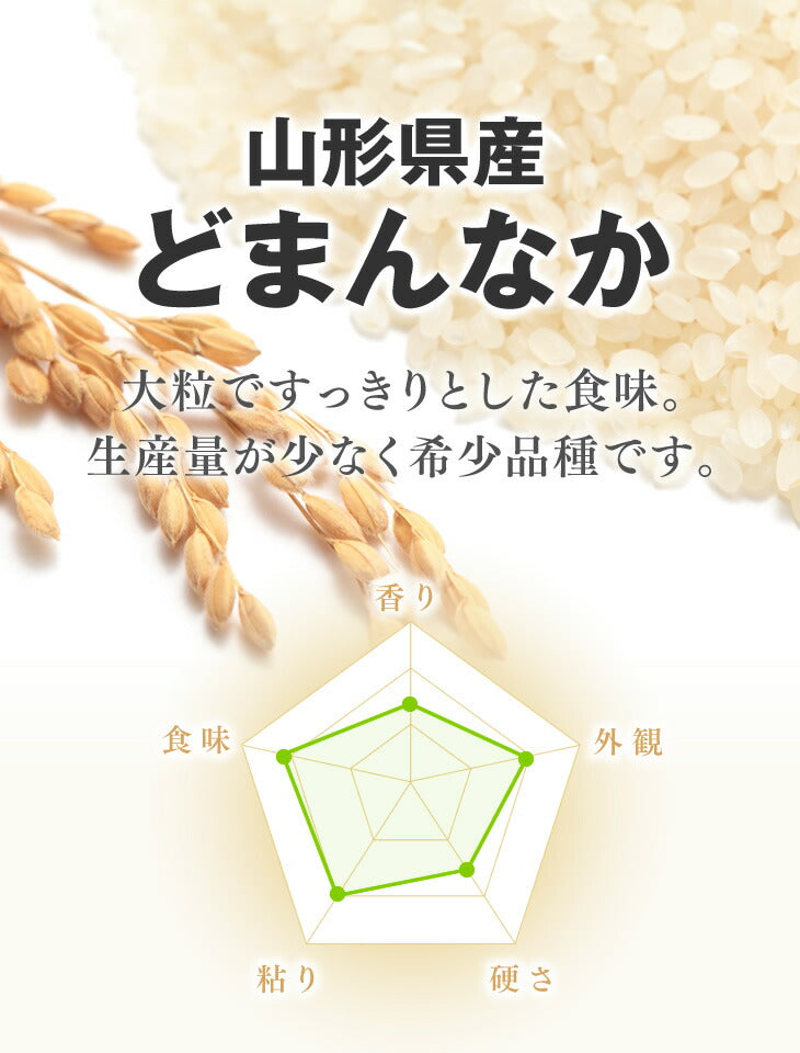 米 お米 令和3年 山形県産 どまんなか 精米 10kg（5kg×2袋） 産地直送【生産量の少ない希少品種】ryd1003