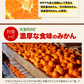 大粒 みかん 訳あり 4kg