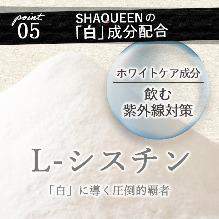 【限定クーポンで20%OFF】【NEW】美容ダイエットプロテイン リッチチョコレート シェイクイーン MADPROTEIN