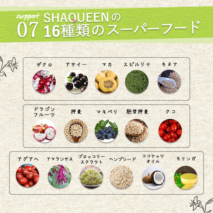 【限定クーポンで20%OFF】【NEW】美容ダイエットプロテイン リッチチョコレート シェイクイーン MADPROTEIN