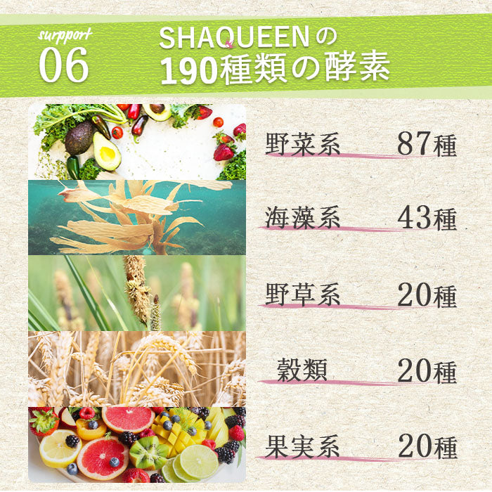 シェイクイーン 抹茶ラテ プロテイン 女性用  美容 置き換えダイエットスムージー