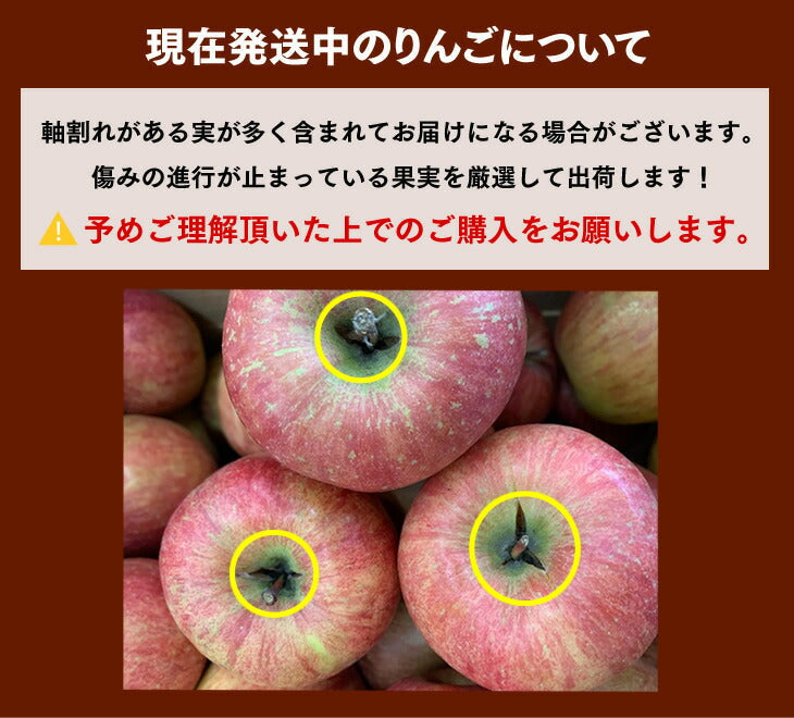 りんご 訳あり 10kg 送料無料 青森県産 サンふじ 約10kg玉数おまかせ) バラ詰め ※一部地域は別途送料追加 フルーツ 果物 果物 ap13【エコ得】