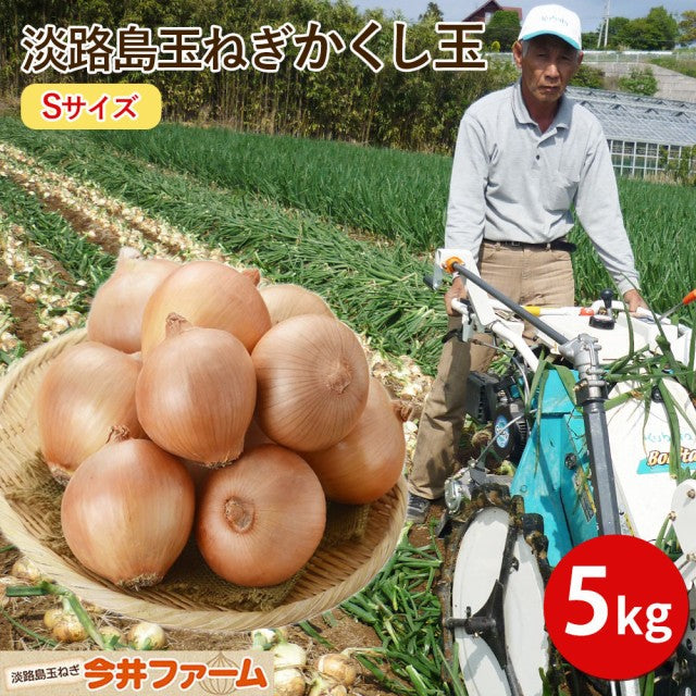 淡路島産 かくし玉 小粒 Sサイズ 5k
