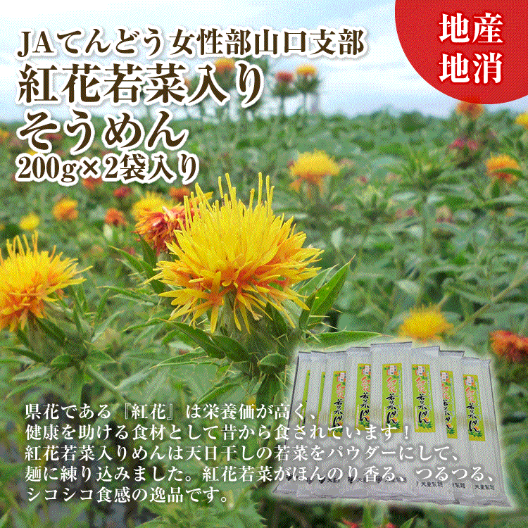 お試し JAてんどう 紅花若菜いり麺 乾麺 200g×2袋 ネコポス 送料無料