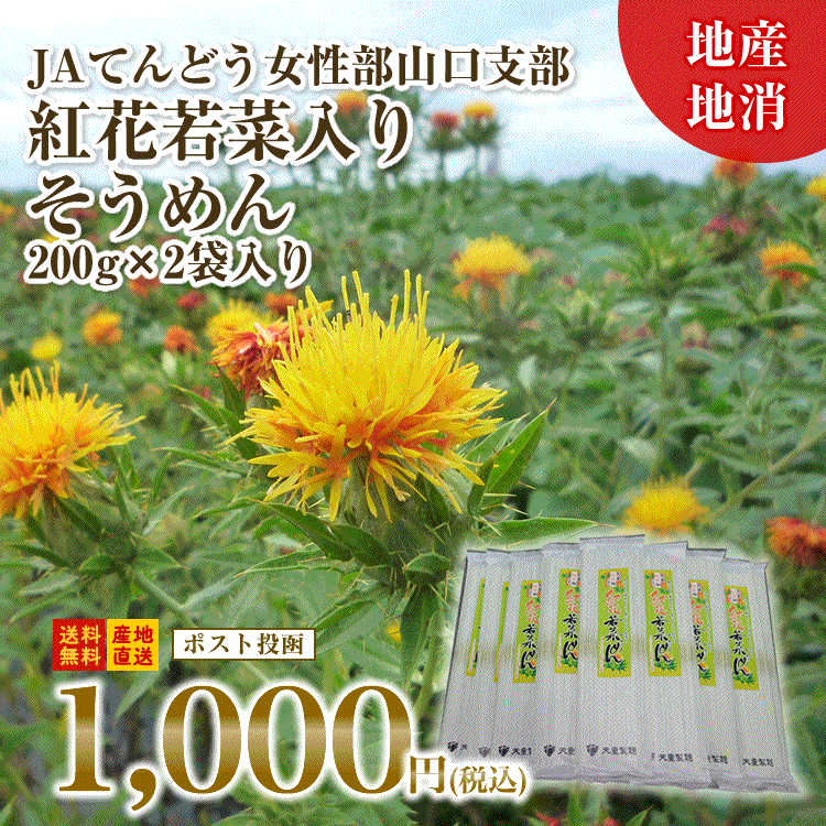 お試し JAてんどう 紅花若菜いり麺 乾麺 200g×2袋 ネコポス 送料無料