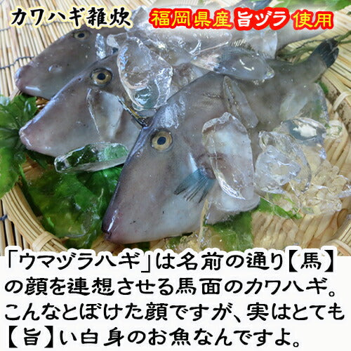 【カワハギ雑炊 4食メール便】(※ポスト投函便のため、配送追跡はできません）かつおと昆布のだしが、福岡県産「旨ヅラハギ」の味を引き立てます。フリーズドライ製法だからお湯をかけるだけで、出来立ての風味！