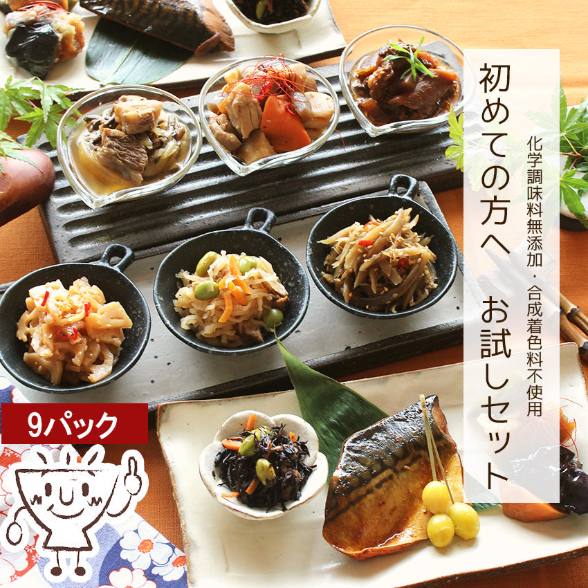 9種類 惣菜 詰め合わせ お惣菜 セット