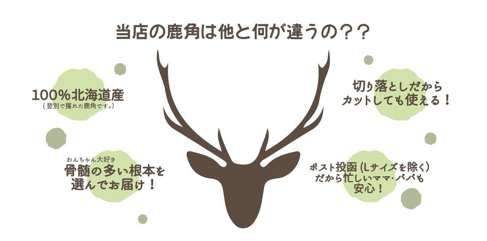 【送料無料】鹿角　Sサイズ　1本　ペット　歯石　口臭　ストレス解消　おもちゃ　お留守番　しか　ツノ