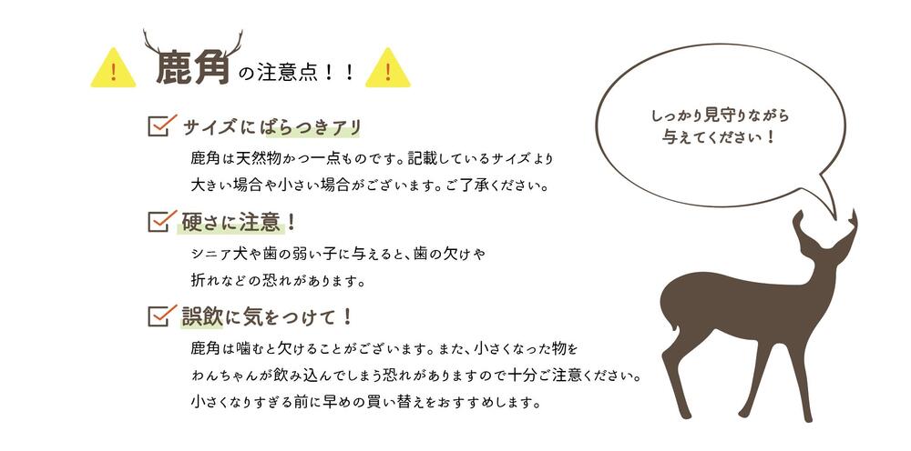【送料無料】鹿角　Sサイズ　1本　ペット　歯石　口臭　ストレス解消　おもちゃ　お留守番　しか　ツノ