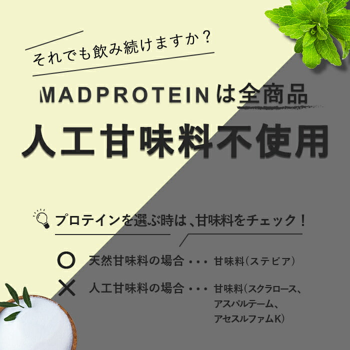 【タイムセール】ホエイプロテインWPC100  1kg リッチチョコレート 人工甘味料不使用 フレーバー WPC100 国内製造(MADPROTEIN) マッドプロテイン