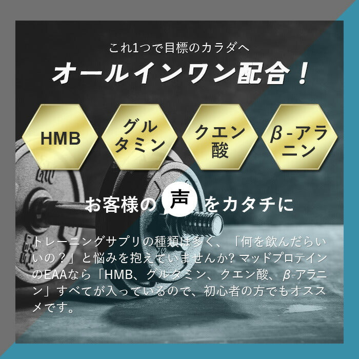 EAA 1kg セックスオンザビーチ 人工甘味料不使用 オールインワン 国内製造 フレーバー (MADPROTEIN) マッドプロテイン