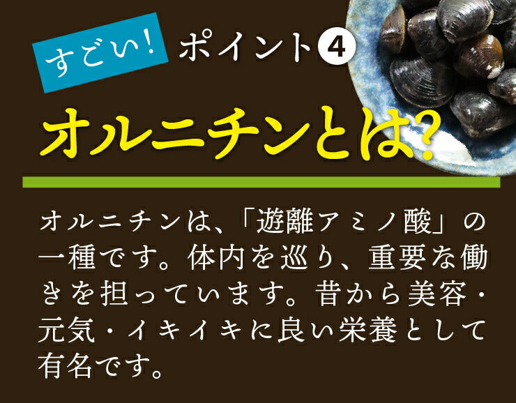 【まとめ買いが超お得】プロテインダイエットリゾット18食 コーンスープ クラムチャウダー 野菜ポタージュ