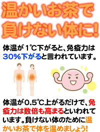 500g×4袋 北海道産 韃靼そば茶 だったんそば茶