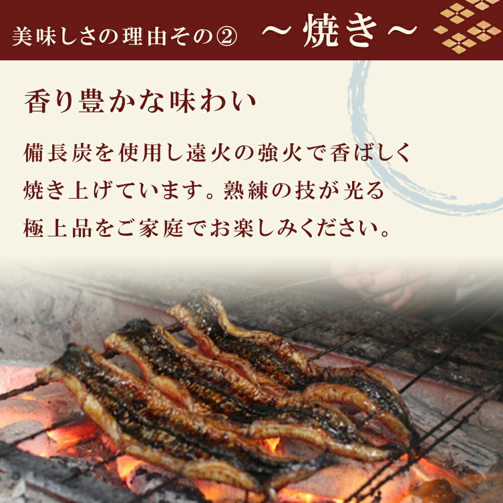 鹿児島産うなぎ蒲焼2尾セット