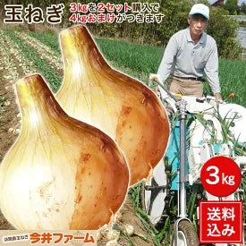 訳アリ　淡路島玉ねぎ 3キロ［Sサイズ～2Lサイズお任せ］