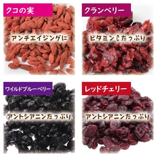 送料無料 元気がいっぱい 200g ゆうパケット ひまわりの種 かぼちゃの種 クコの実 松の実 クランベリー ワイルドブルーベリー レッドチェリー シード 健康 美容 スーパーフード おやつ おつまみ 製菓 製パン ケーキ ベーカリー トッピング ヨーグルト チャック袋入り