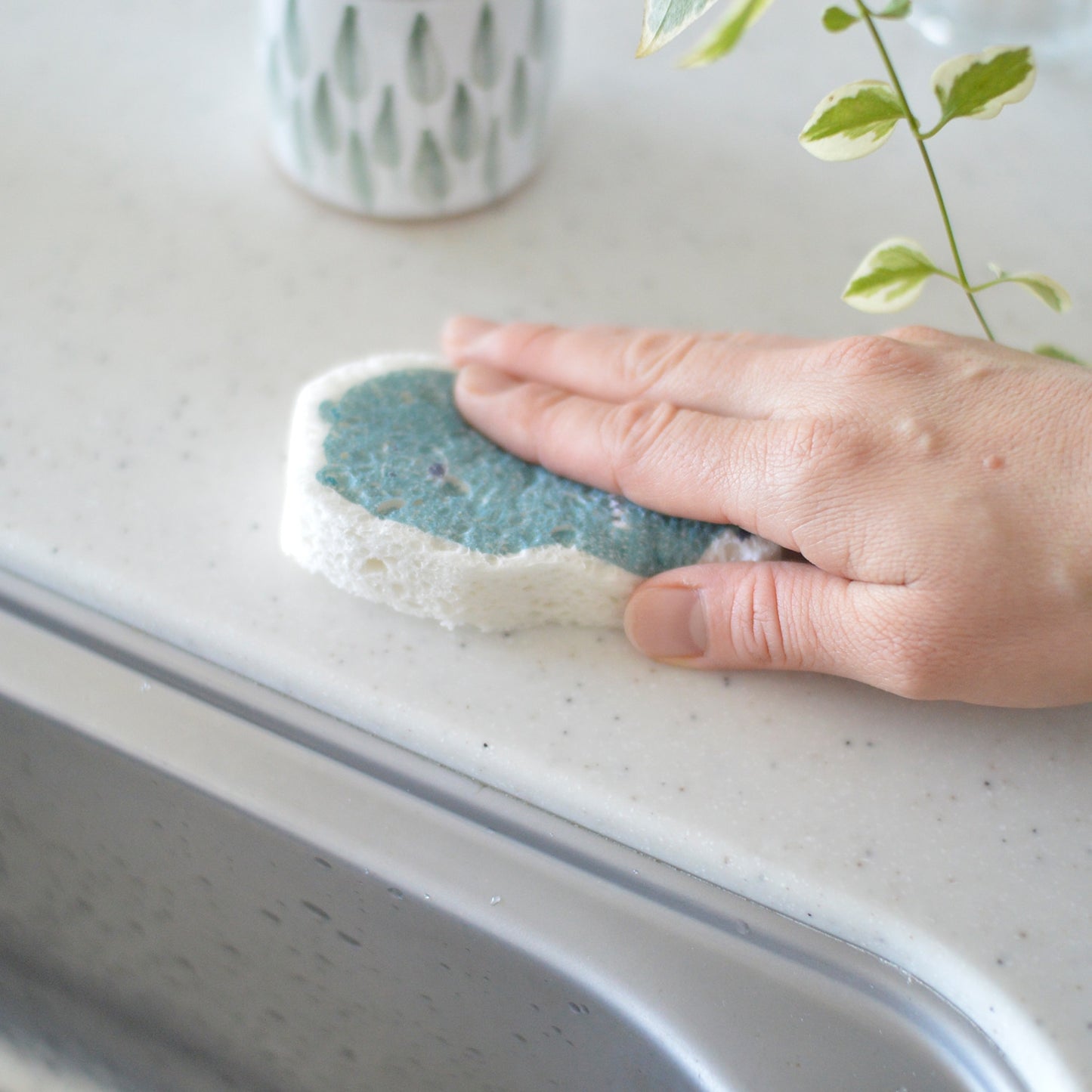 【メール便で送料無料】 ポップアップスポンジ くま  kata kata 型抜き 水で膨らむ！ 100％ 天然素材 食器洗い キッチン レンジ 掃除