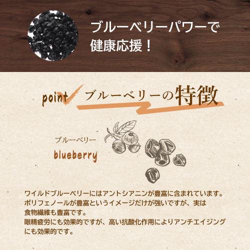 ワイルドブルーベリー 1kg アメリカ産 (野生種) ドライブルーベリー ブルーベリー グルメ