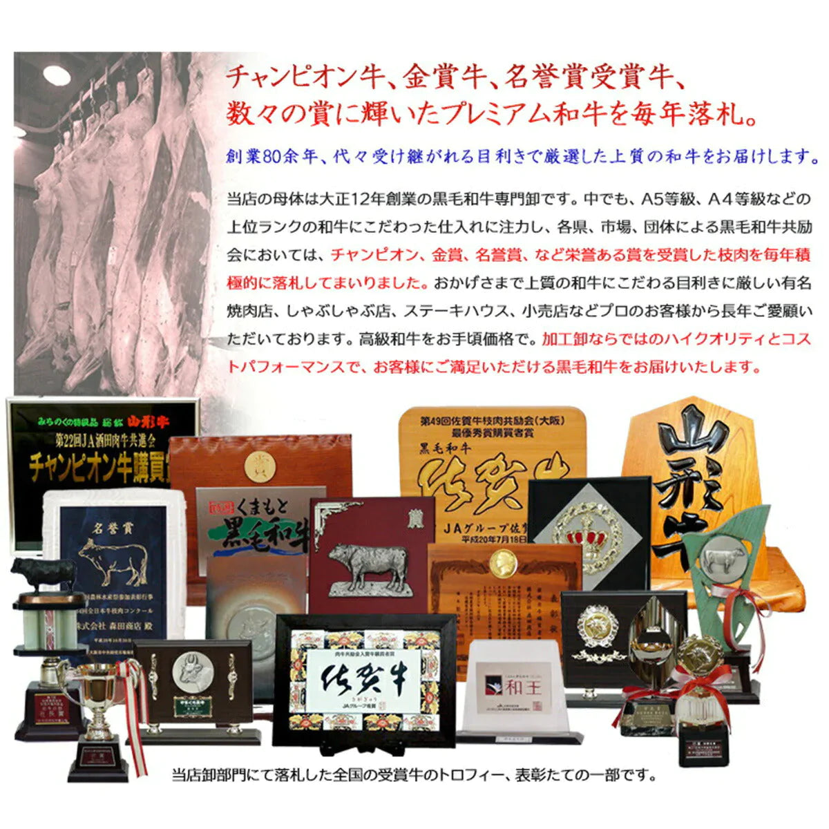 【5人でシェア買いでお得】黒毛和牛 A5等級 こくうま霜降り 切り落とし メガ盛 800g (200g×4）【 お中元 送料無料  牛肉  すき焼き 和牛 しゃぶしゃぶ  お肉 ギフト 肉 御歳暮 内祝い プレゼント カルビ 切落し 食べ物 父の日 母の日 敬老の日 】