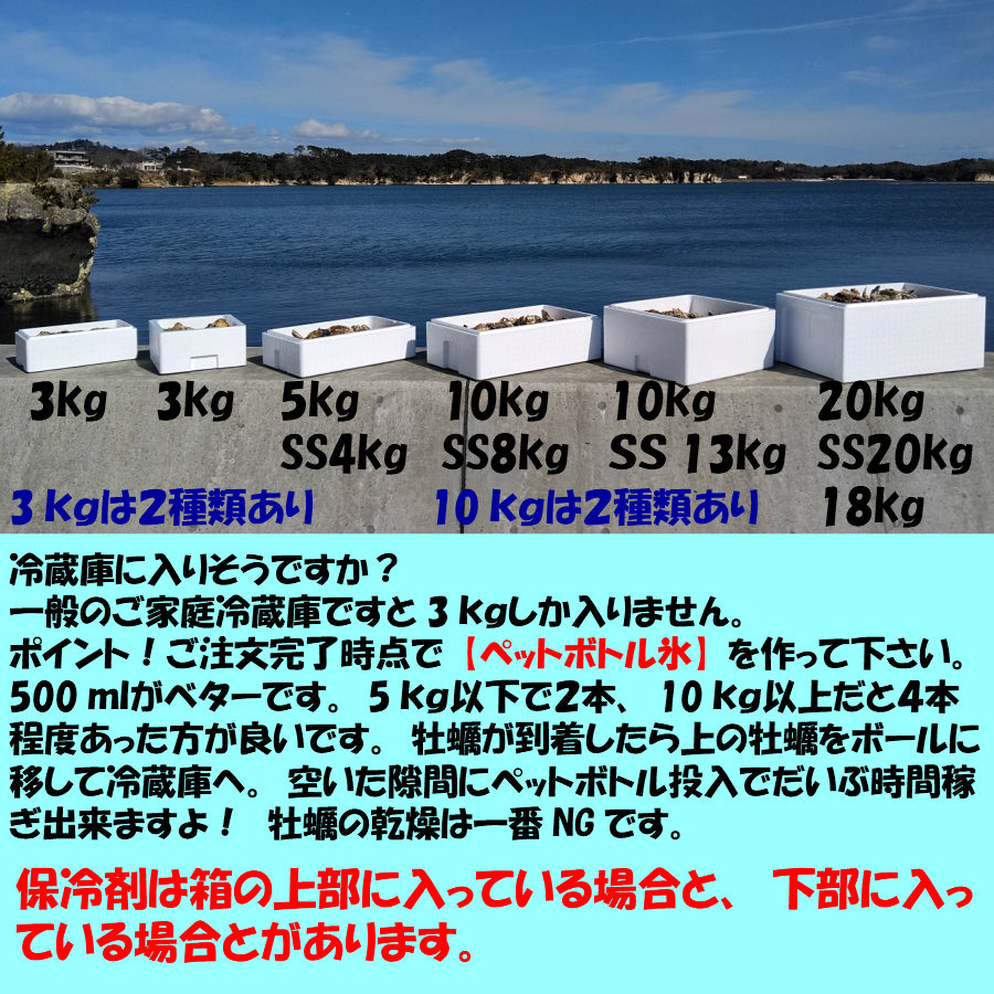 「牡蠣 ２０ｋｇ」 【約240粒】 殻付き 牡蠣 殻付き 牡蛎 牡蠣 殻付 宮城県産 無選別牡蠣 20キロ カキ 加熱用 松島牡蠣屋 海産物 魚介類 魚介 海鮮 母の日 父の日 送料無料 ＢＢＱ バーベキュー 【140】
