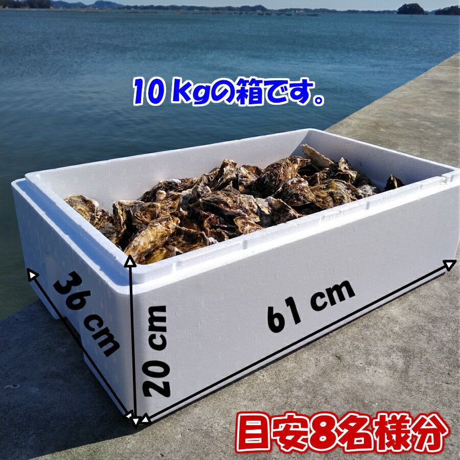 「牡蠣 １０ｋｇ」 （目安110粒）殻付き 牡蠣 殻付き 牡蛎 牡蠣 殻付 宮城県産 10キロ 無選別牡蠣 カキ 加熱用 松島牡蠣屋 海産物 魚介類 魚介 海鮮 母の日 父の日 送料無料 ＢＢＱ バーベキュー 【120】