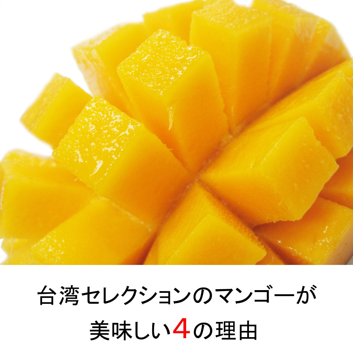 【贈答用】台湾愛文マンゴー 2.5kg箱/5-7玉入 小玉