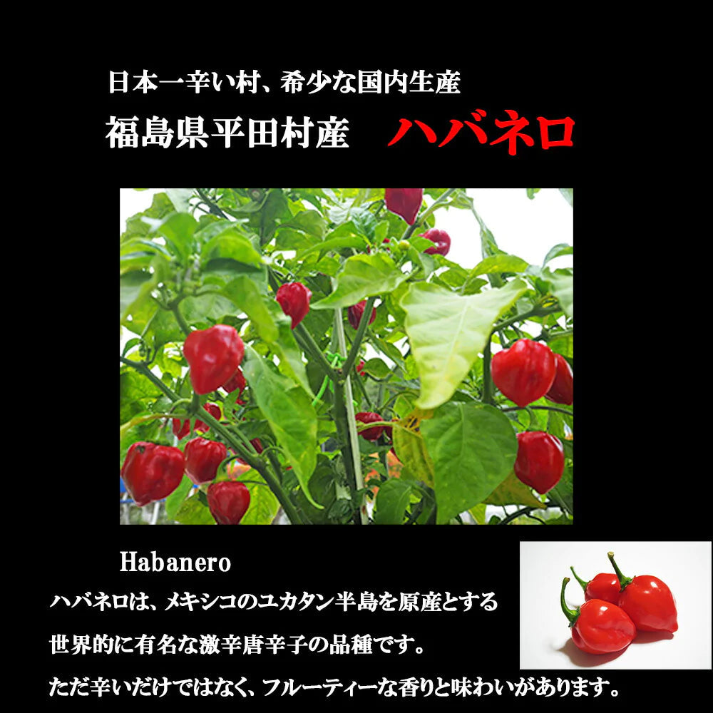 【  送料無料 旨辛！】灼熱の唐揚げ 伊達鶏の唐揚げ×福島県産 ハバネロ のコラボ 125g入り 4パック  レンジ 簡単３分温めるだけ！　からあげ ご当地グルメ お試し お取り寄せ から揚げ 激辛グルメ おつまみ 辛いクリスマス チキン
