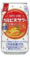 アサヒ カルピスサワー 完熟マンゴー 350ml×24本 【ご注文は3ケースまで同梱可能です】