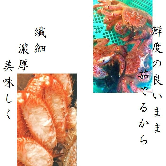 【北海道産】北海道産　毛蟹　5尾（約400ｇ前後サイズ）　付け足　ボイル済み　冷凍　天然無添加　毛ガニ　けがに　毛がに　蟹　かに　道産品　お歳暮　お祝い　父の日　母の日　コロナ　応援　備蓄　お取り寄せ