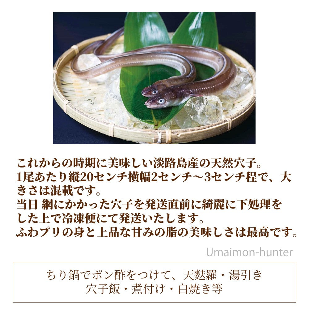 ニコマート 淡路島産 天然穴子 15尾×2P