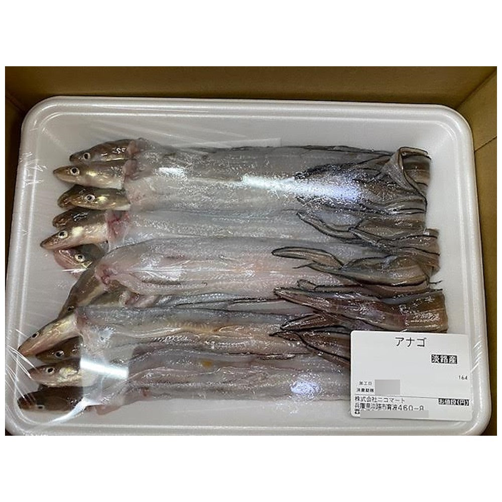 ニコマート 淡路島産 天然穴子 15尾×2P