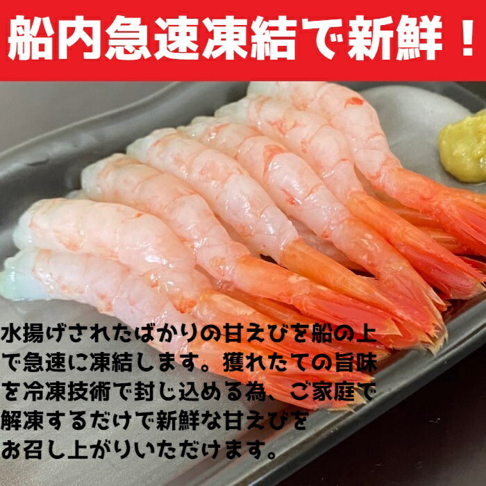 【メガ盛り！】【Mサイズ】甘えび　お刺身用　90～110尾入れ1Ｋｇ　リトアニア産　急速船上凍結品　オスメス込み　鮮度抜群　アマエビ　甘エビ　えび　甘海老　お歳暮　お祝い　母の日　父の日　プレゼント　備蓄