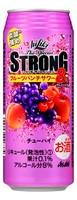 アサヒ ハイリキ ザ・スペシャル フルーツパンチサワー 500ml×24本 【ご注文は2ケースまで1個口配送可能です】