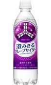 アサヒ 三ツ矢 澄みきるグレープサイダー 500ml×24本（1ケース）【ご注文は2ケースまで同梱可能です】