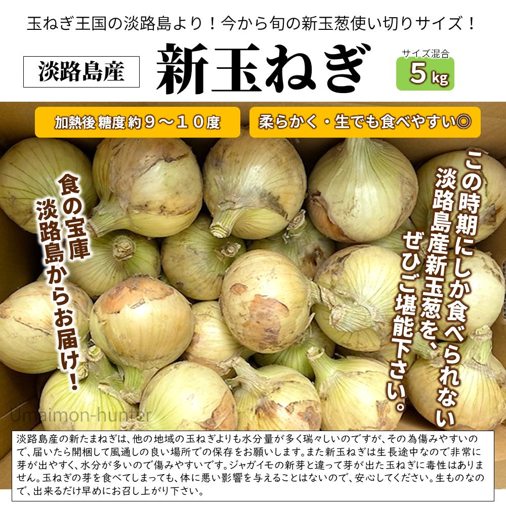 ニコマート 淡路島産 新玉ねぎ 5kg×1箱 サイズ混載