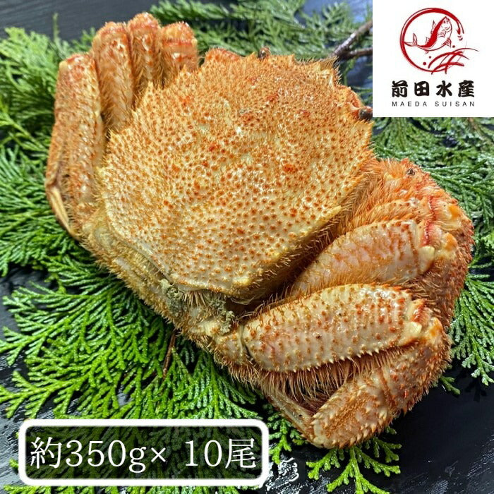 【北海道産】毛蟹　10尾セット（1尾約350ｇ）　ボイル済み　冷凍　毛ガニ　けがに　毛がに　蟹　かに　道産品　お歳暮　お祝い　父の日　母の日　コロナ　応援　備蓄　お取り寄せ