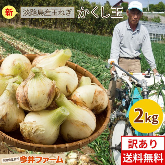 【週末限定セール】たまねぎ (訳) 淡路島 玉ねぎ 2キロ　Sサイズ～2Lサイズお任せ