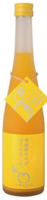 篠崎 ゆず梅酒 馬路村のゆず、はじめました。500ml 1本【ご注文は1ケース（12本）まで一個口配送可能】