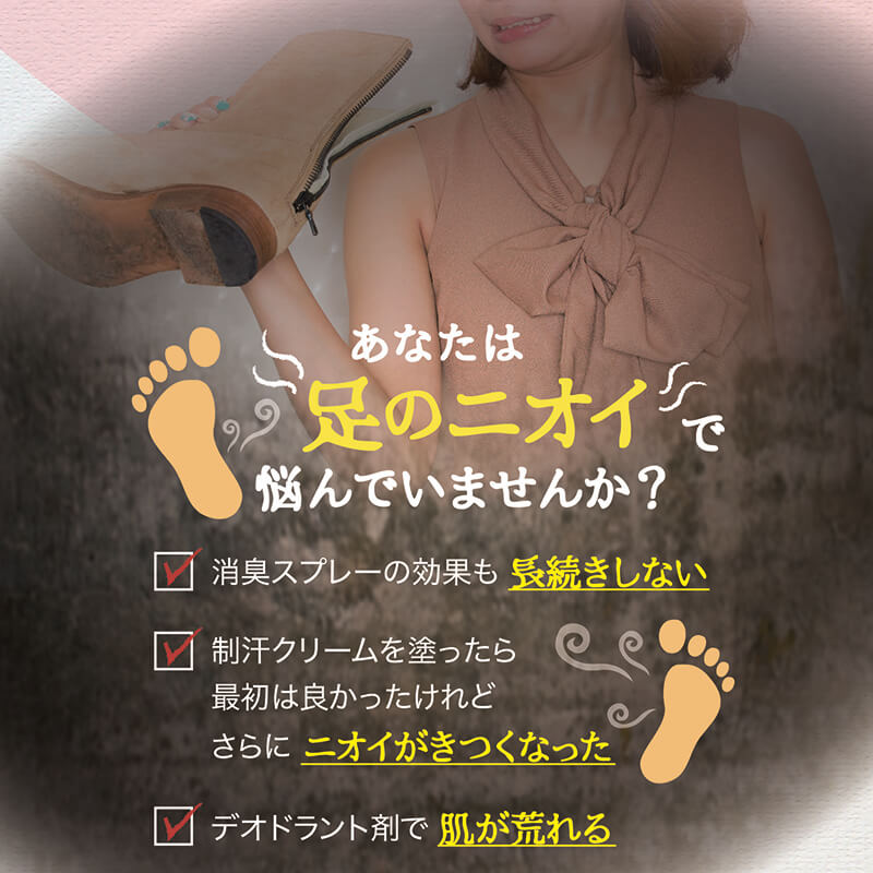メリーフラミンゴ