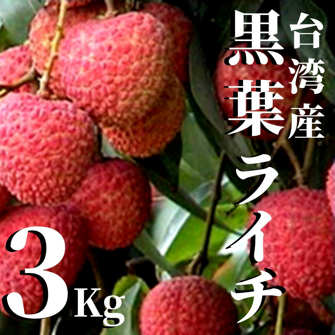 【お得用】台湾黒葉ライチ 3kg