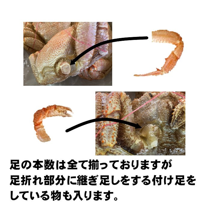 【北海道産】北海道産　毛蟹　5尾（約400ｇ前後サイズ）　付け足　ボイル済み　冷凍　天然無添加　毛ガニ　けがに　毛がに　蟹　かに　道産品　お歳暮　お祝い　父の日　母の日　コロナ　応援　備蓄　お取り寄せ