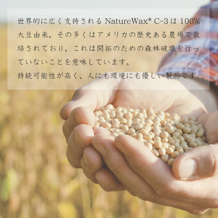 Cargill カーギル キャンドル用 ソイワックス [ソフトタイプ] 3kg / [NatureWax C-3] 100% Natural Soy Wax