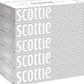 日本製紙クレシア スコッティ (SCOTTIE) ティッシュペーパー 200組5箱×12パック(60箱)