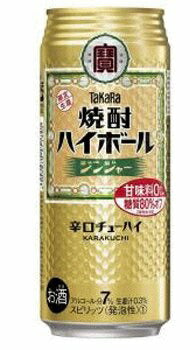 【送料無料】  宝 焼酎ハイボール ジンジャー 500ml×24本【北海道・沖縄県・四国・九州地方は別途送料】