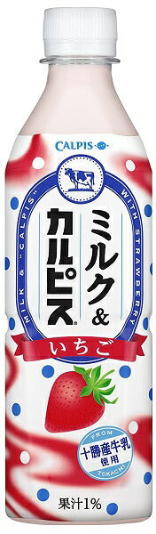 【送料無料】【2ケースセット】アサヒ カルピス ミルク＆カルピス いちご 500ml×48本