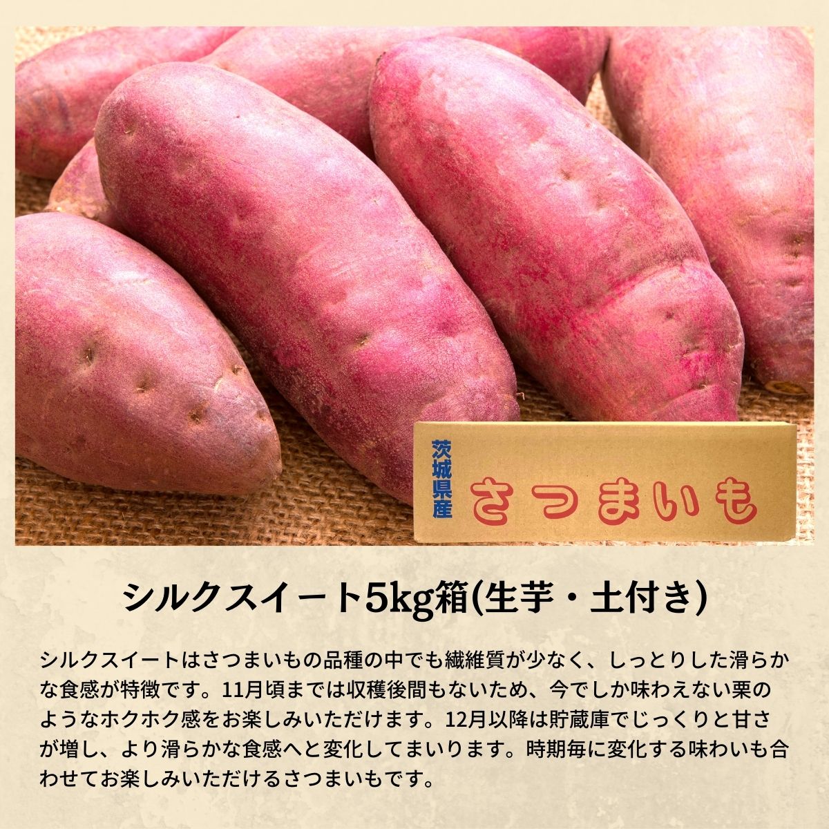 新芋 シルクスイート M〜Lサイズ さつまいも 5kg 箱 さつま芋 送料無料