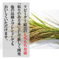 【受注精米】 お米 米 【 新潟県産 ミルキークイーン 】 令和3年産 5kg