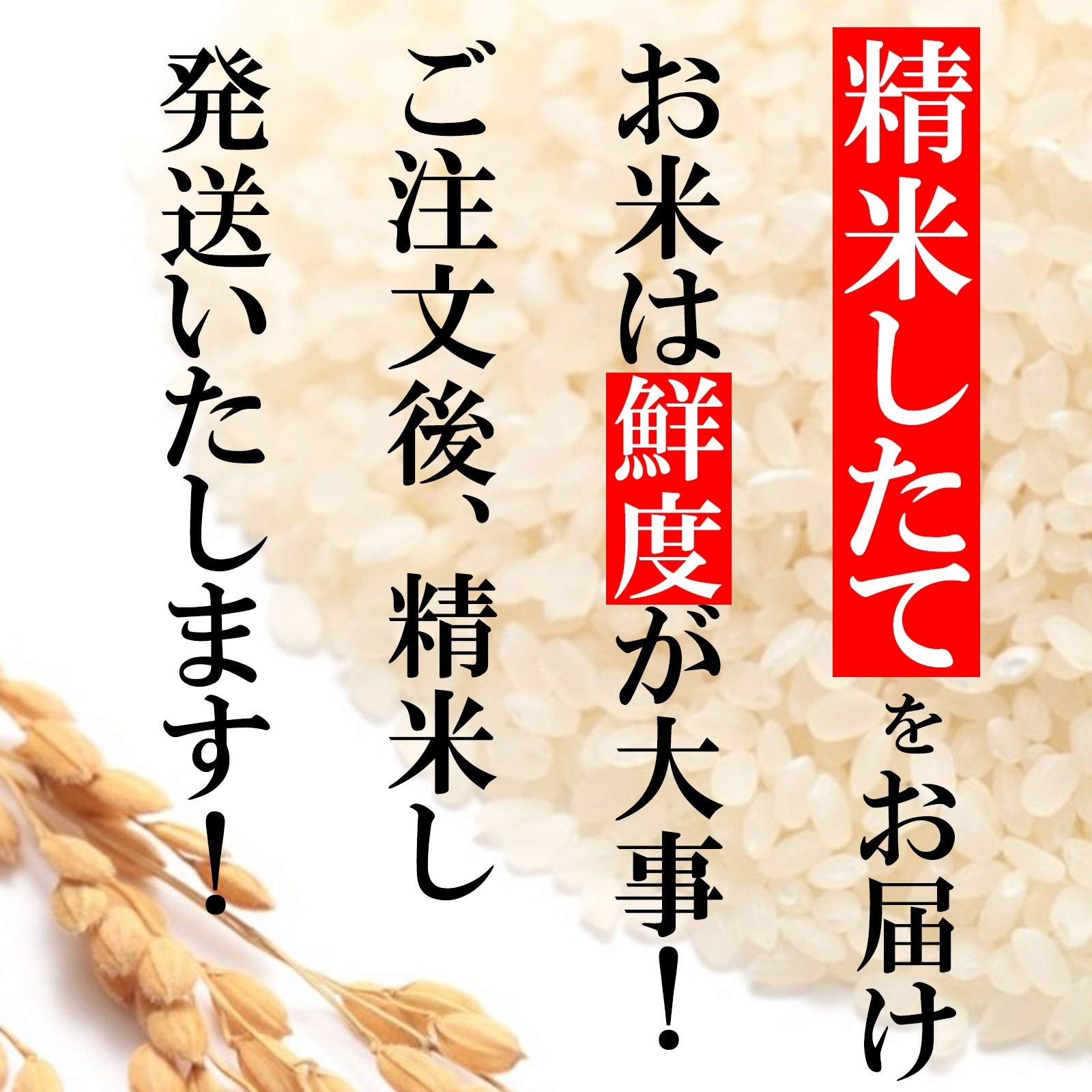 お米 令和3年産 米 【 新潟県産 コシヒカリ 】 10kg x 2袋 20kg – カウシェ