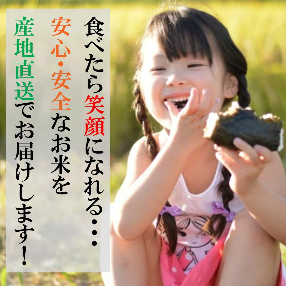 【限定クーポンで20%OFF】【 無洗米 】 お米 送料無料 【 新潟県産 コシヒカリ 】 米 20kg (20キロ) 10kg × 2袋